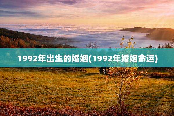 1992年出生的婚姻(1992年婚姻命运)