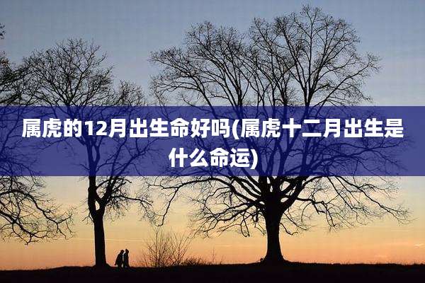 属虎的12月出生命好吗(属虎十二月出生是什么命运)