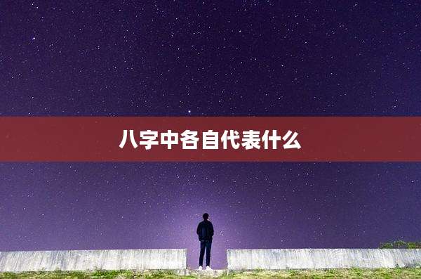 八字中各自代表什么