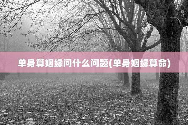 单身算姻缘问什么问题(单身姻缘算命)