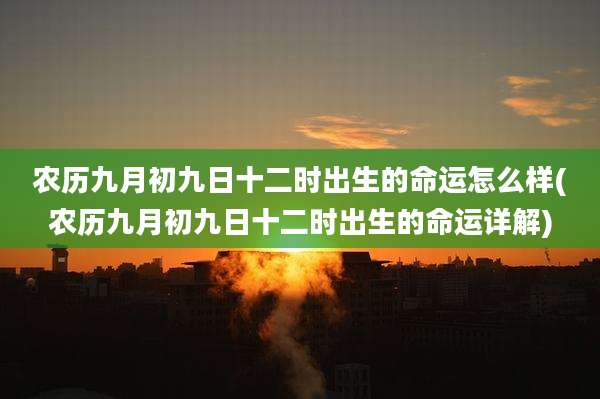 农历九月初九日十二时出生的命运怎么样(农历九月初九日十二时出生的命运详解)