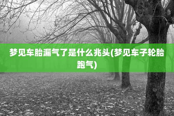 梦见车胎漏气了是什么兆头(梦见车子轮胎跑气)