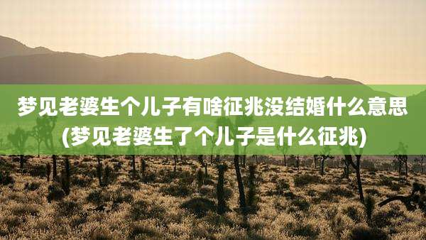梦见老婆生个儿子有啥征兆没结婚什么意思(梦见老婆生了个儿子是什么征兆)