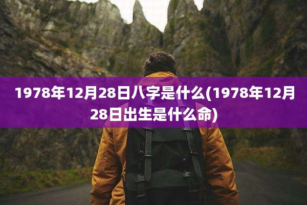 1978年12月28日八字是什么(1978年12月28日出生是什么命)