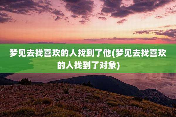 梦见去找喜欢的人找到了他(梦见去找喜欢的人找到了对象)