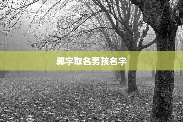 郭字取名男孩名字