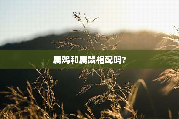 属鸡和属鼠相配吗?