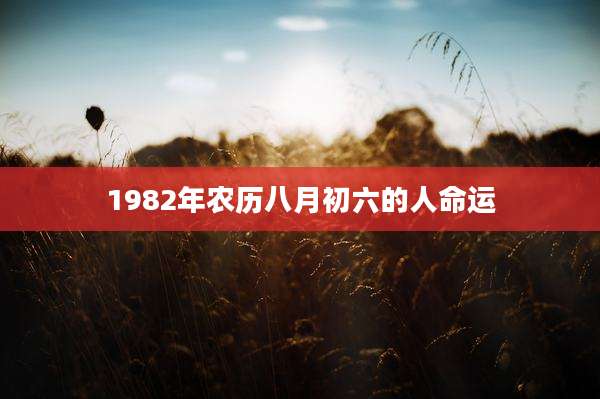 1982年农历八月初六的人命运