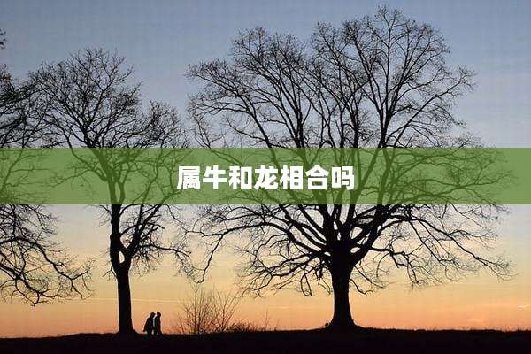 属牛和龙相合吗