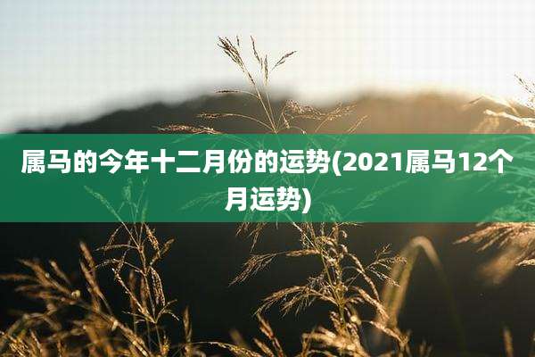 属马的今年十二月份的运势(2021属马12个月运势)