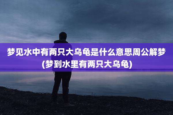 梦见水中有两只大乌龟是什么意思周公解梦(梦到水里有两只大乌龟)