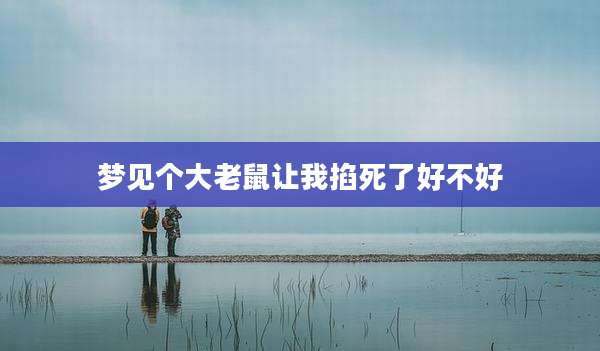 梦见个大老鼠让我掐死了好不好
