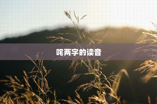 咤两字的读音