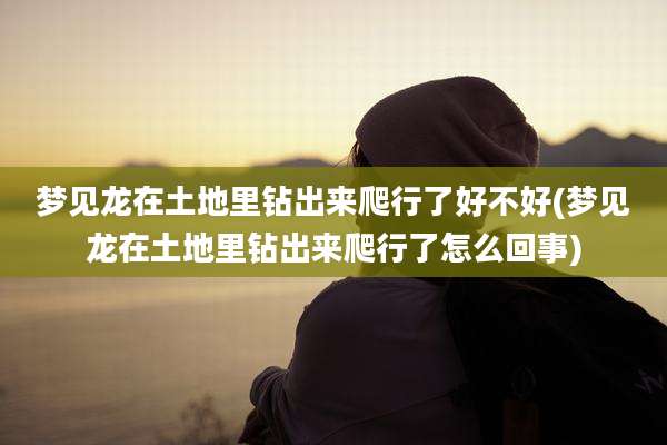 梦见龙在土地里钻出来爬行了好不好(梦见龙在土地里钻出来爬行了怎么回事)