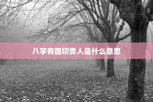 八字有国印贵人是什么意思