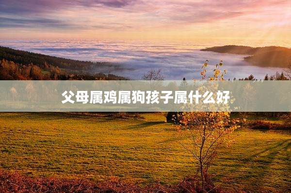 父母属鸡属狗孩子属什么好