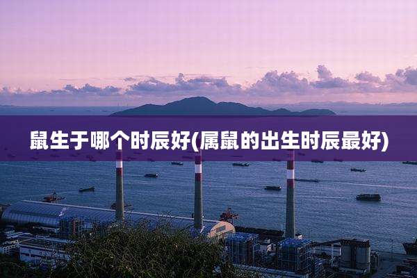 鼠生于哪个时辰好(属鼠的出生时辰最好)