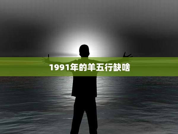 1991年的羊五行缺啥