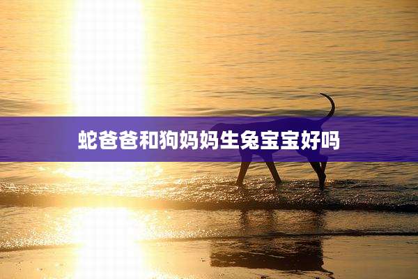 蛇爸爸和狗妈妈生兔宝宝好吗