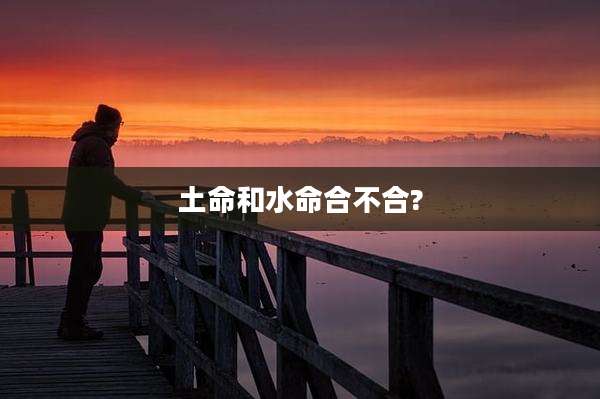 土命和水命合不合?