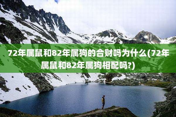 72年属鼠和82年属狗的合财吗为什么(72年属鼠和82年属狗相配吗?)