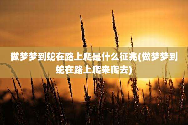 做梦梦到蛇在路上爬是什么征兆(做梦梦到蛇在路上爬来爬去)
