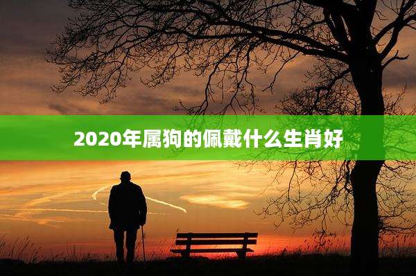 2020年属狗的佩戴什么生肖好