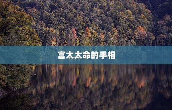 富太太命的手相