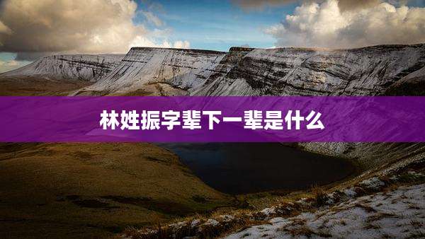林姓振字辈下一辈是什么