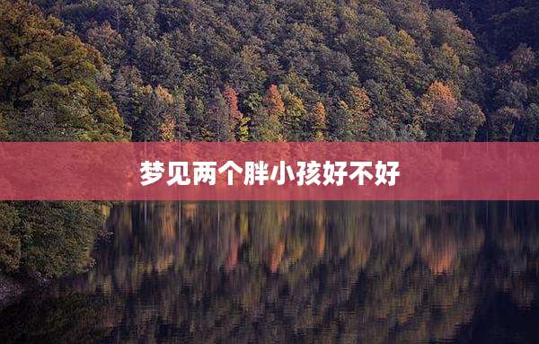 梦见两个胖小孩好不好