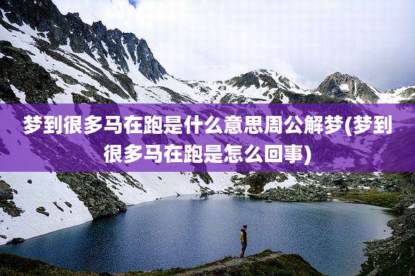 梦到很多马在跑是什么意思周公解梦(梦到很多马在跑是怎么回事)