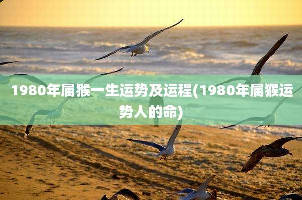 1980年属猴一生运势及运程(1980年属猴运势人的命)