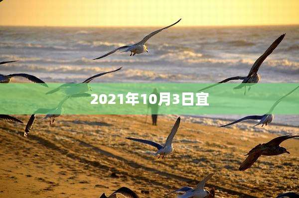 2021年10月3日宜