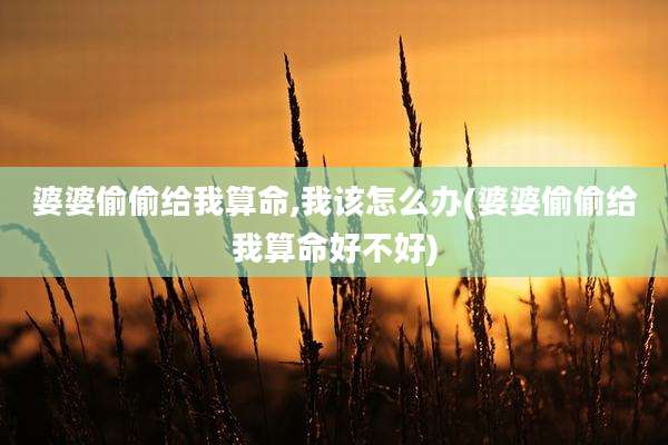 婆婆偷偷给我算命,我该怎么办(婆婆偷偷给我算命好不好)