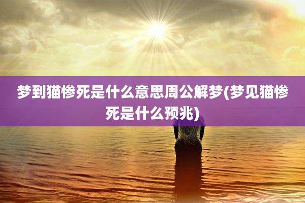 梦到猫惨死是什么意思周公解梦(梦见猫惨死是什么预兆)