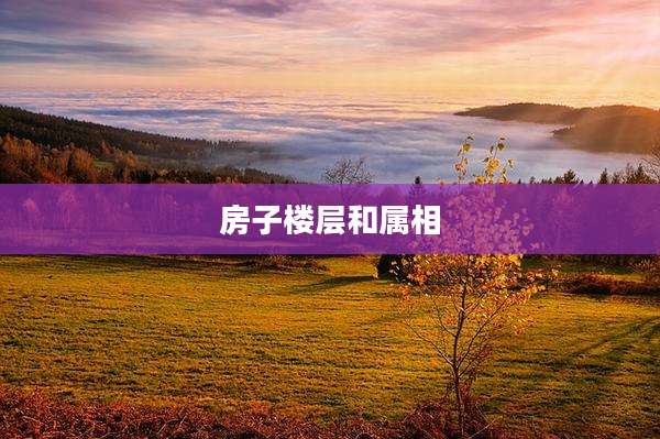 房子楼层和属相