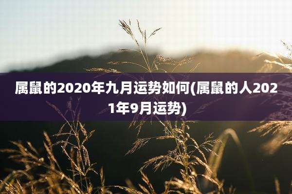 属鼠的2020年九月运势如何(属鼠的人2021年9月运势)