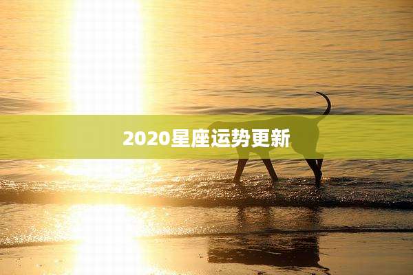 2020星座运势更新