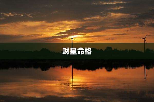 财星命格