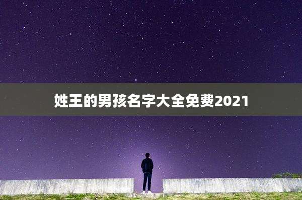姓王的男孩名字大全免费2021
