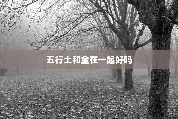 五行土和金在一起好吗