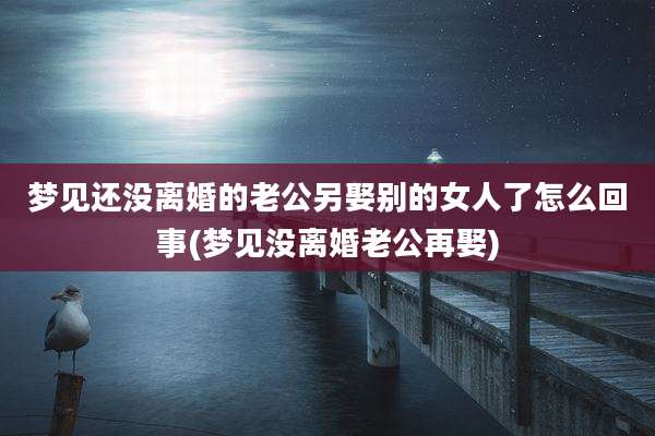 梦见还没离婚的老公另娶别的女人了怎么回事(梦见没离婚老公再娶)
