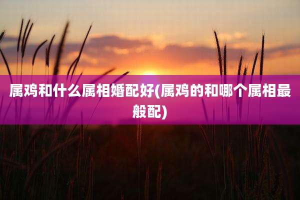 属鸡和什么属相婚配好(属鸡的和哪个属相最般配)