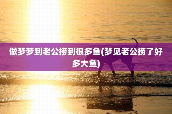 做梦梦到老公捞到很多鱼(梦见老公捞了好多大鱼)