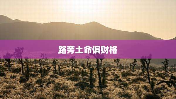 路旁土命偏财格