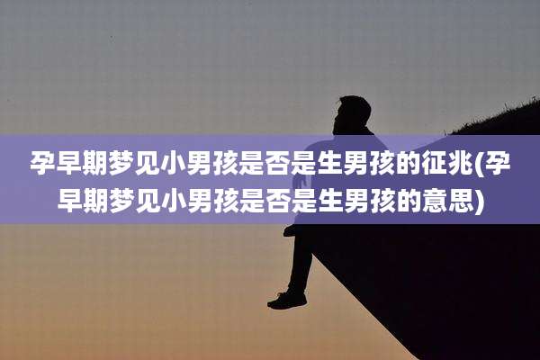 孕早期梦见小男孩是否是生男孩的征兆(孕早期梦见小男孩是否是生男孩的意思)