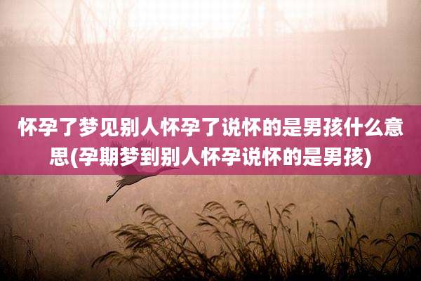 怀孕了梦见别人怀孕了说怀的是男孩什么意思(孕期梦到别人怀孕说怀的是男孩)