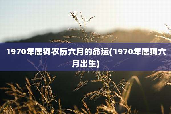 1970年属狗农历六月的命运(1970年属狗六月出生)
