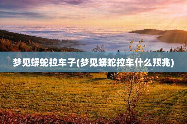 梦见蟒蛇拉车子(梦见蟒蛇拉车什么预兆)
