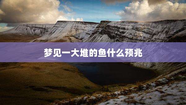 梦见一大堆的鱼什么预兆